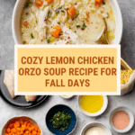 Lemon Chicken Orzo Soup Recipe