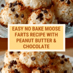 Easy No Bake Moose Farts Recipe