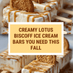 Lotus Biscoff Ice Cream Bars Recipe