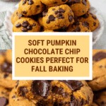 Pumpkin Chocolate Chip Cookies Recipe