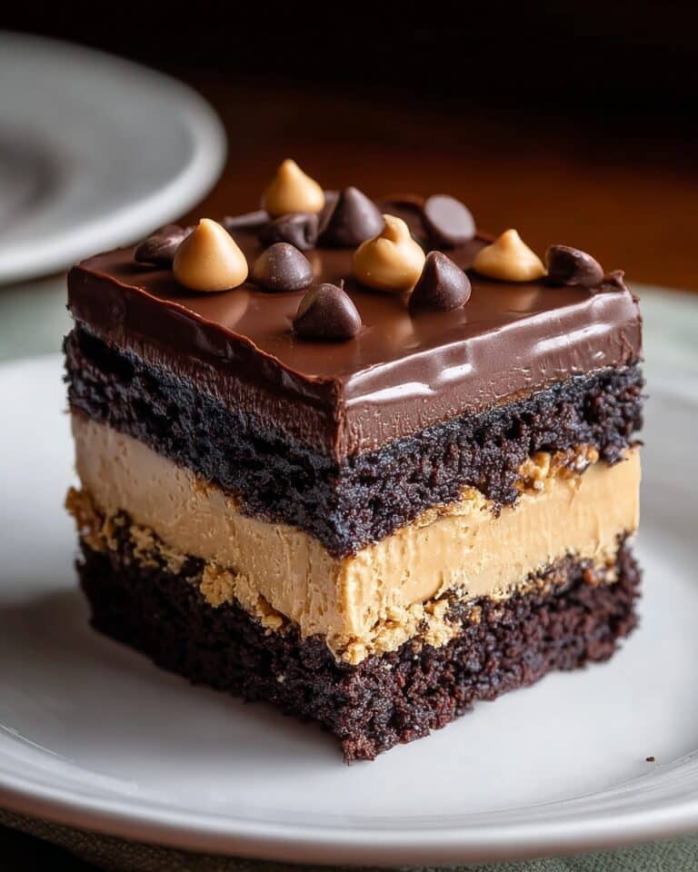 Chocolate Peanut Butter Texas Sheet Cake Recipe